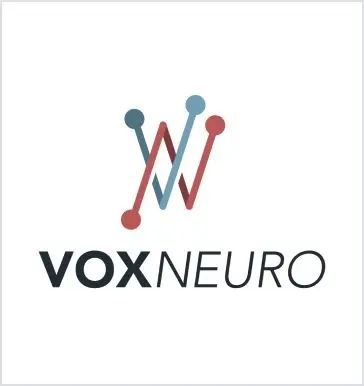 VoxNeuro